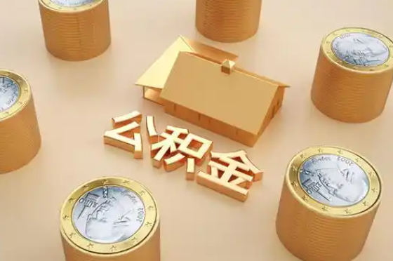 萍乡退休公积金代办提取额度是多少？